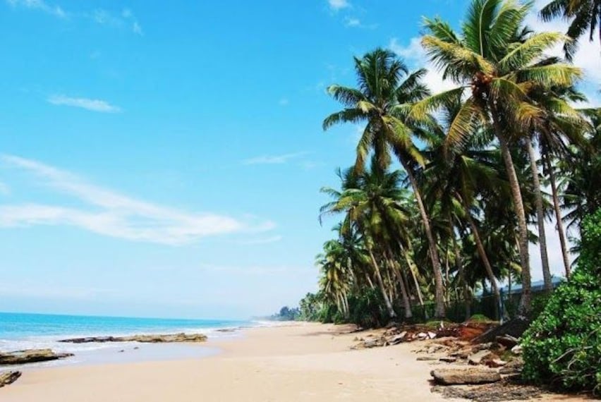 Kosgoda Sea Turtle Conservation Project-4